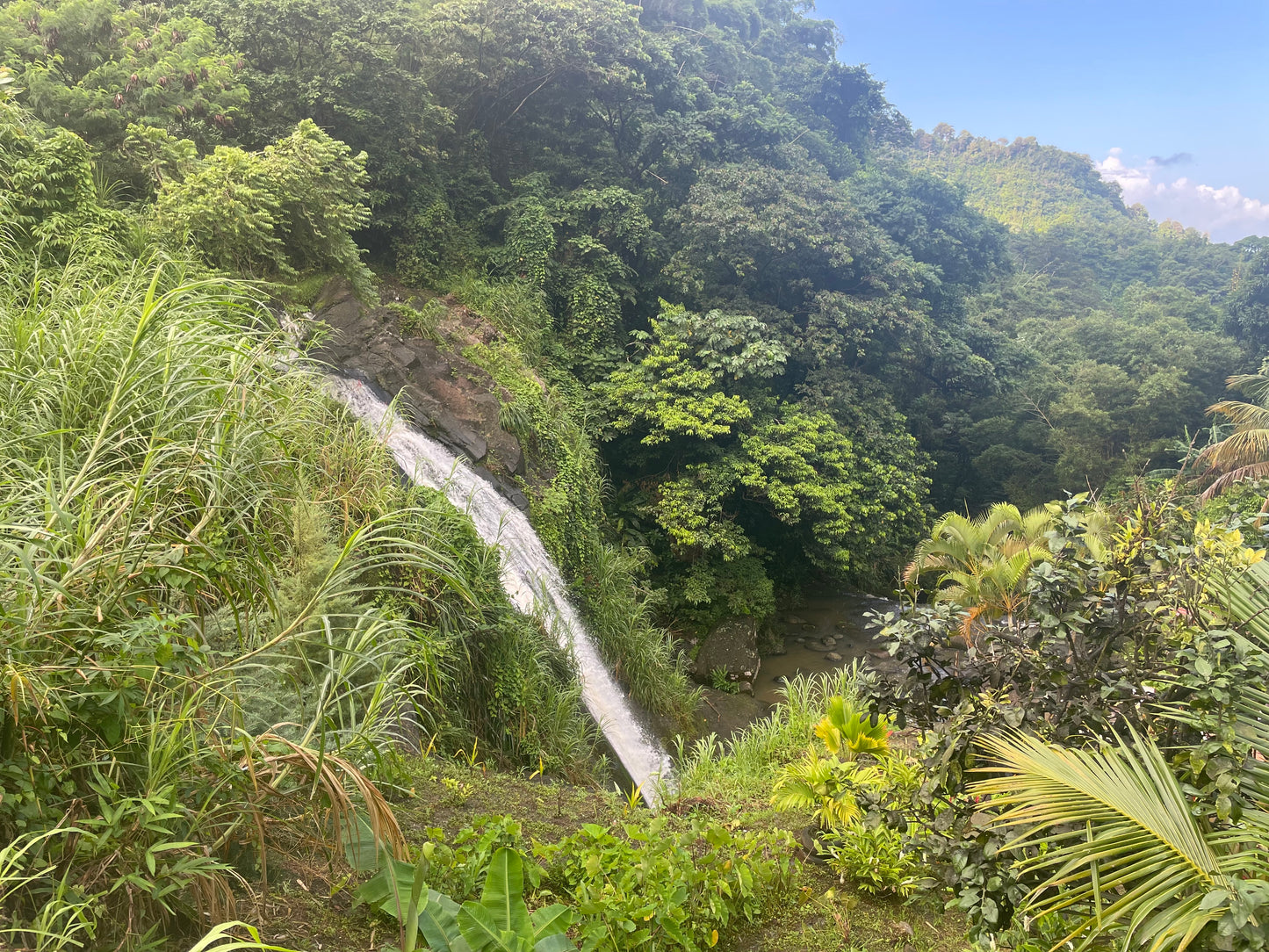 Six Hour Tour: "Beautiful Grenada Excursion"